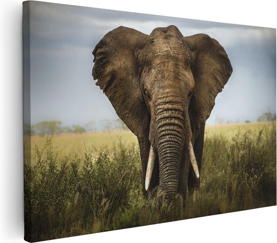 Artaza - Canvas Schilderij - Olifant In Het Wild - Kleur - Foto Op Canvas - Canvas Print