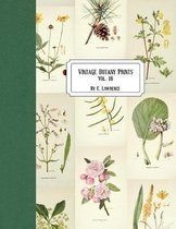 Vintage Botany Prints