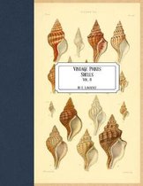 Vintage Prints: Shells