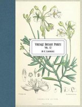 Vintage Botany Prints