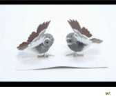 Vliegende uil op clipjes - Grijs / Bruin - Karton / Metaal -15 x 8 cm - Set van 2