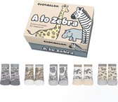 Baby sokken A to Zebra 0-12 Md 5 PaarBaby Sokjes in een Cadeaudoos