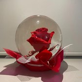 Flowerglobe | Rood | Roos | Long life rose | Flowerbox | Rozen | Roses | Flowers | Giftbox | Roos in water | Rode roos