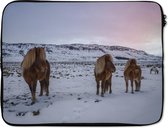 Laptophoes 14 inch - IJslander paarden in een sneeuwlandschap bij zonsondergang - Laptop sleeve - Binnenmaat 34x23,5 cm - Zwarte achterkant