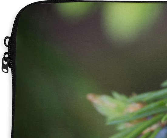 Etui pour ordinateur portable 13 pouces 34x24 cm - Sapin - Etui pour Macbook & Laptop Close-up d'une branche de sapin - Etui pour ordinateur portable avec photo