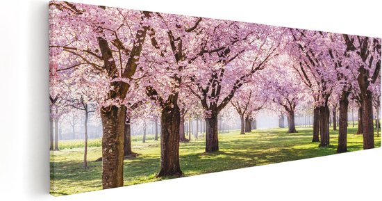 Artaza Canvas Schilderij Roze Bloesembomen Park - Bloemen - 120x40 - Groot - Foto Op Canvas - Canvas Print