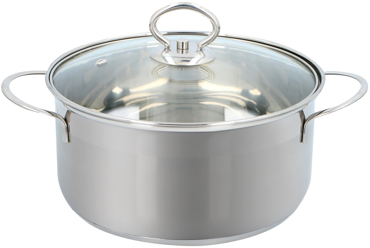 alpina Kookpan 20 cm - 2L - RVS Pan - Glazen Deksel - Alle Warmtebronnen - Pan Inductie