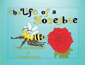 The Life Of A Honeybee