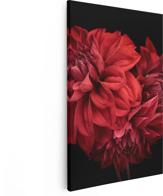 Artaza Canvas Schilderij Rode Dahlia Bloemen - 80x120 - Groot - Foto Op Canvas - Canvas Print