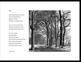 Acacia – Chap – maçonniek gedicht in fotolijst zwart aluminium 30 x 40 cm