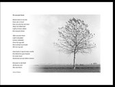 Acacia – De eenzame boom – maçonniek gedicht in fotolijst zwart aluminium 30 x 40 cm