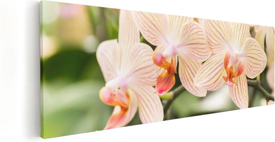 Artaza Canvas Schilderij Gestreepte Witte Orchidee Bloemen - 90x30 - Foto Op Canvas - Canvas Print