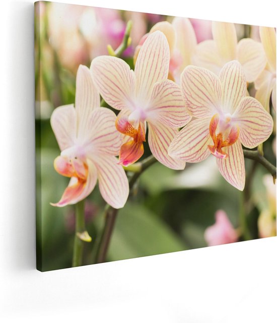 Artaza Canvas Schilderij Gestreepte Witte Orchidee Bloemen - 100x80 - Groot - Foto Op Canvas - Canvas Print