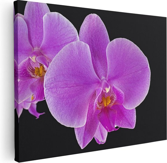 Artaza Canvas Schilderij Licht Paarse Orchidee - Bloem - 80x60 - Foto Op Canvas - Canvas Print