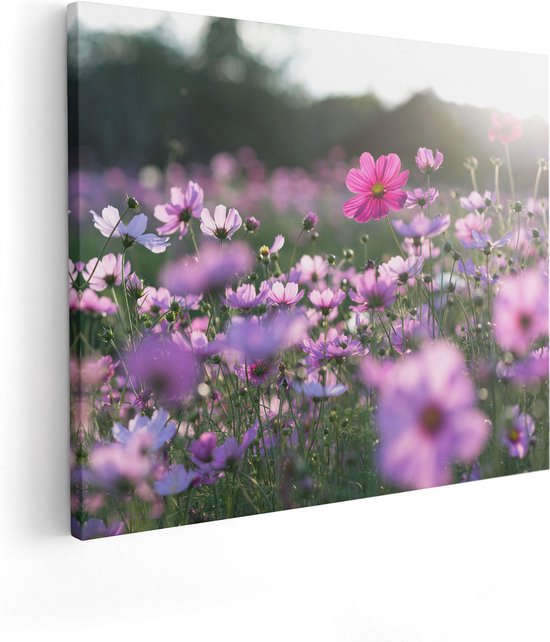 Artaza Canvas Schilderij Bloemenveld Met Paarse Kosmos - 50x40 cm - Wanddecoratie Woonkamer - Schilderijen - Muurdecoratie