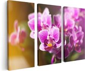 Artaza Canvas Schilderij Drieluik Paarse Orchidee Bloemen - 120x80 - Foto Op Canvas - Canvas Print