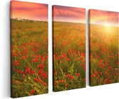 Artaza - Triptyque de peinture sur toile - Champ de fleurs de pavot rouge - Coucher de soleil - 120x80 - Photo sur toile - Impression sur toile