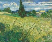 Van Gogh Schilderij Print Poster Wall Art Kunst Canvas Printing Op Papier Living Decoratie  LEEP-281