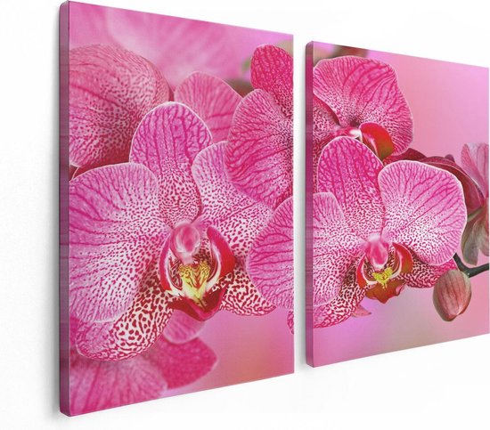Artaza Canvas Schilderij Tweeluik Roze Orchidee Bloemen - 120x80 - Foto Op Canvas - Canvas Print