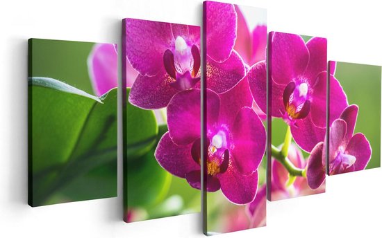 Artaza Canvas Schilderij Vijfluik Roze Orchidee Bloemen - 100x50 - Foto Op Canvas - Canvas Print