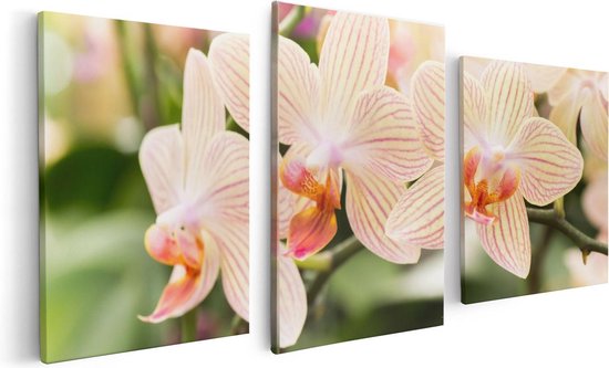 Artaza Canvas Schilderij Drieluik Gestreepte Witte Orchidee Bloemen - 120x60 - Foto Op Canvas - Canvas Print