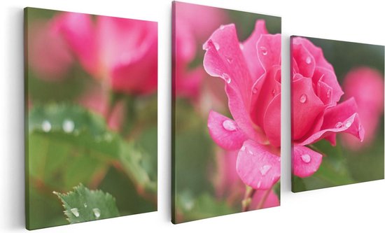 Artaza Canvas Schilderij Drieluik Roze Roos Met Waterdruppels - 120x60 - Foto Op Canvas - Canvas Print