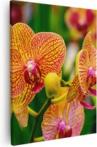 Artaza Canvas Schilderij Geel Rode Orchidee Bloemen - 40x50 - Foto Op Canvas - Canvas Print