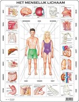 legpuzzel Maxi Menselijk lichaam junior karton 35 stukjes