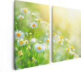 Artaza Canvas Schilderij Tweeluik Witte Kamille Bloemen Met Zonneschijn - 80x60 - Foto Op Canvas - Canvas Print