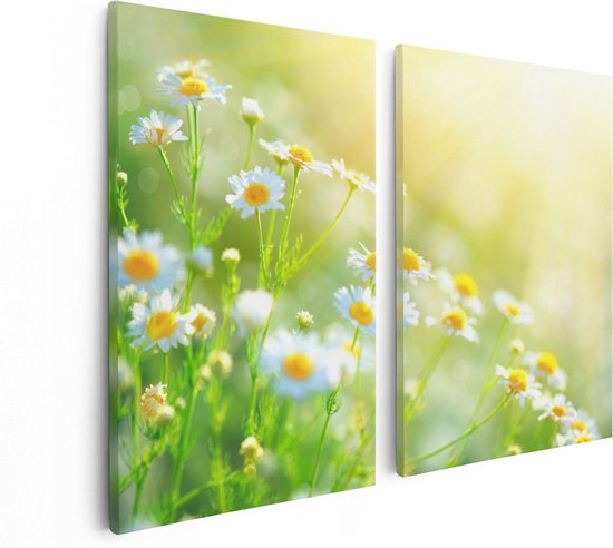 Artaza Canvas Schilderij Tweeluik Witte Kamille Bloemen Met Zonneschijn - 80x60 - Foto Op Canvas - Canvas Print