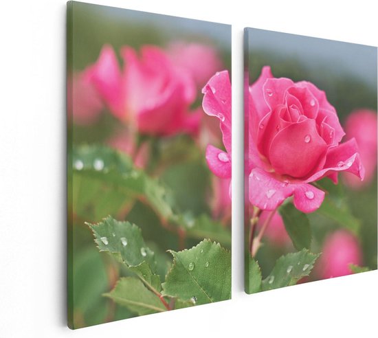 Artaza Canvas Schilderij Tweeluik Roze Roos Met Waterdruppels - 80x60 - Foto Op Canvas - Canvas Print