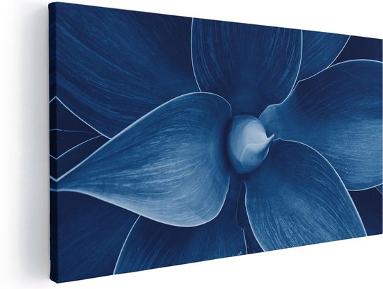 Artaza Peinture sur toile Plante d'agave bleue – Bloem – 40 x 20 – Klein – Photo sur toile – Impression sur toile
