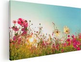 Artaza Toile Peinture Kosmos Champ De Fleurs Avec Un Soleil Levant - 40x20 - Klein - Photo Sur Toile - Impression Sur Toile