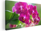 Artaza Canvas Schilderij Roze Orchidee Bloemen - 40x20 - Klein - Foto Op Canvas - Canvas Print