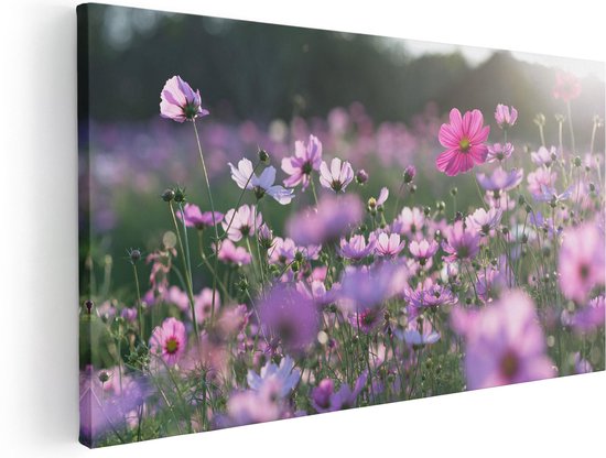 Artaza - Peinture sur toile - Champ de fleurs avec Kosmos violet - 120 x 60 - Groot - Photo sur toile - Impression sur toile
