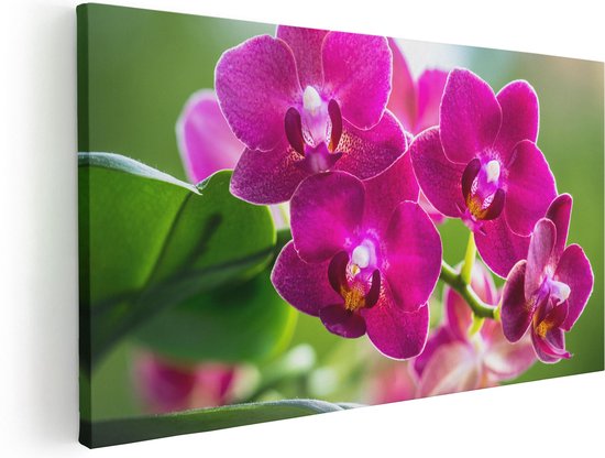 Artaza Canvas Schilderij Roze Orchidee Bloemen - 100x50 - Groot - Foto Op Canvas - Canvas Print