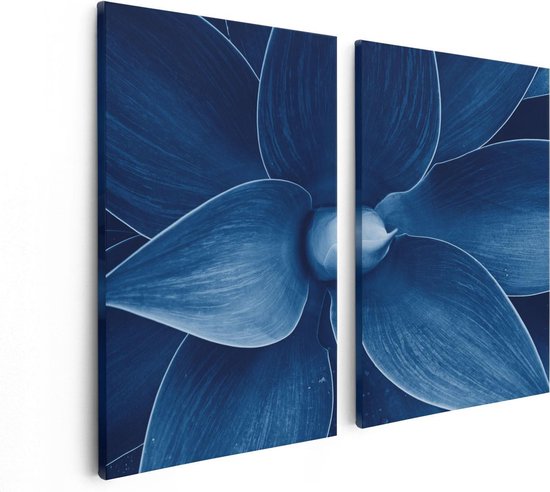 Artaza Canvas Schilderij Tweeluik Blauwe Agave Plant - Bloem - 80x60 - Foto Op Canvas - Canvas Print