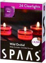 Spaas Clearlights Geparfumeerde Waxinelichtjes - Wild Orchid - 24 Stuks