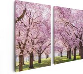 Artaza Canvas Schilderij Tweeluik Roze Bloesembomen Park - Bloemen - 80x60 - Foto Op Canvas - Canvas Print