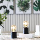JHY DESIGN - set van 2 decoratieve tafellampen op batterijen - 20cm hoog - lamp met bolvormig licht - batterijlamp voor binnen en buiten (zwarte voet)