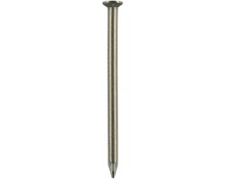DQ draadnagel rvs 1.6x20mm bk (1kg)