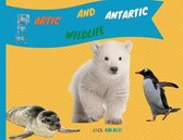 Artic and Antartica WIldlife