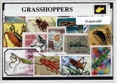Sprinkhanen – Luxe postzegel pakket (A6 formaat) : collectie van verschillende postzegels van sprinkhanen – kan als ansichtkaart in een A6 envelop - authentiek cadeau - kado - gesc