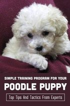 Simple Training Program For Your Poodle Puppy: Top Tips And Tactics From Experts