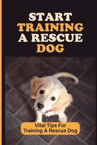 Start Training A Rescue Dog: Vital Tips For Training A Rescue Dog