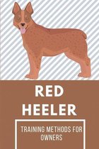 Red Heeler: Training Methods For Owners