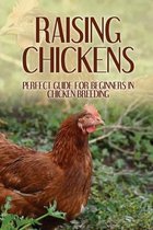 Raising Chickens: Perfect Guide For Beginners In Chicken Breeding
