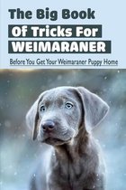 The Big Book Of Tricks For Weimaraner: Before You Get Your Weimaraner Puppy Home