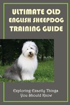 Ultimate Old English Sheepdog Training Guide: Exploring Exactly Things You Should Know