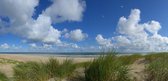 Fotobehang Duinen in Vlieland 350 x 260 cm - € 235,--